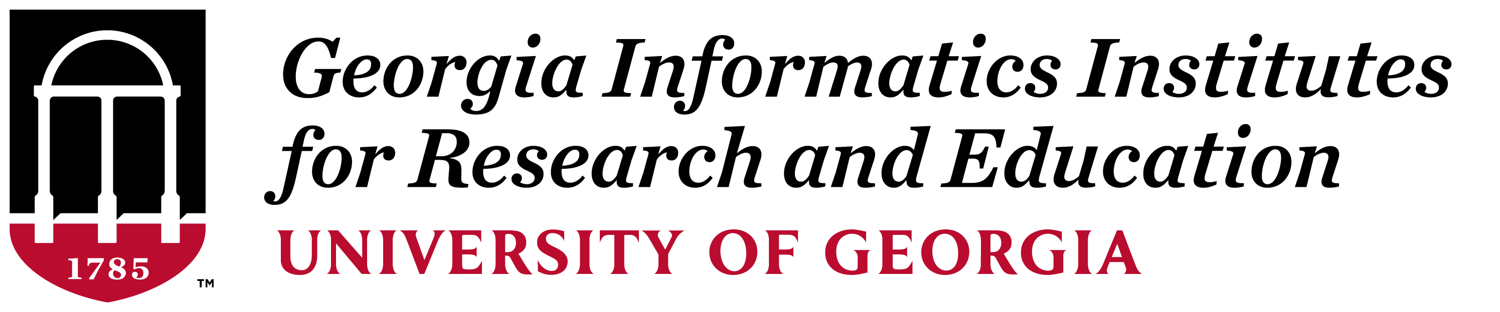 Georgia Informatics Institutes